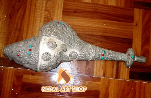 Conch shell from Nepal, conch shells for sale wholesale, Conch Shell a Buddhist Symbols,
Tibetan Conch Shell for ritual, monasteries Buddhist Conch Shell , Nepali Conch shell