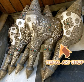 Conch shell from Nepal, conch shells for sale wholesale, Conch Shell a Buddhist Symbols,
Tibetan Conch Shell for ritual, monasteries Buddhist Conch Shell , Nepali Conch shell