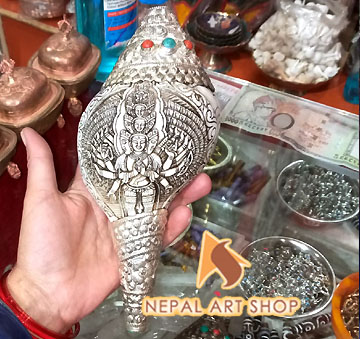 Conch shell from Nepal, conch shells for sale wholesale, Conch Shell a Buddhist Symbols,
Tibetan Conch Shell for ritual, monasteries Buddhist Conch Shell , Nepali Conch shell