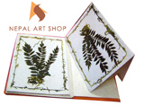 greeting cards, handmade paper greeting cards, lokta paper, handmade greeting cards